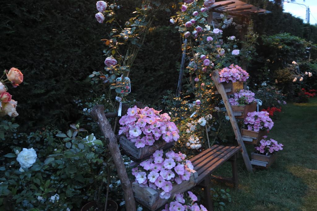 Bed and Breakfast La Via' Cavour Exterior foto